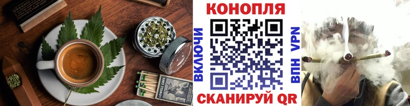 Купить где  Артёмовск  Canna-Cookies конопля 