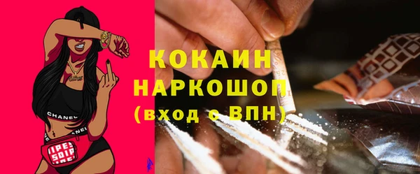 индика Каменногорск