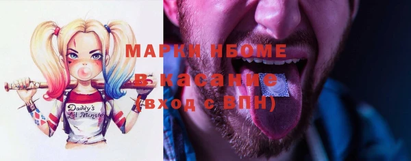 индика Каменногорск