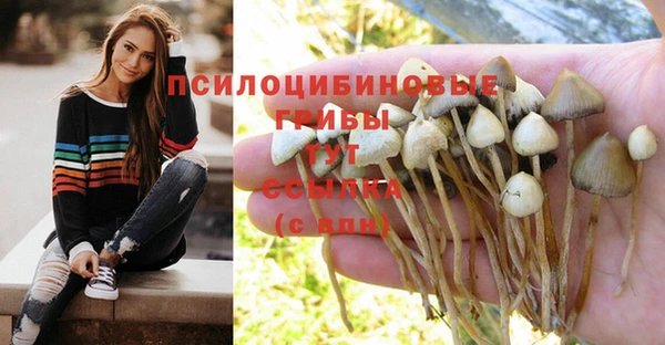 мдпв Киренск