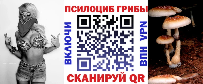 Купить  Артёмовск  Псилоцибиновые грибы Cubensis 